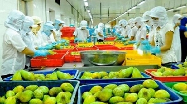 Xuất khẩu nông lâm thủy sản đạt 23,03 tỷ USD trong 7 tháng