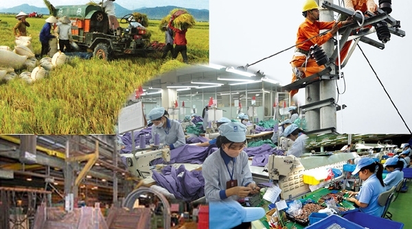 Doanh nghiệp Việt có nhiều tín hiệu tích cực năm 2019