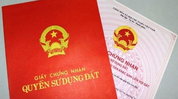 Gia Lai: Chánh văn phòng huyện bị khởi tố vì sai phạm hồ sơ đất đai