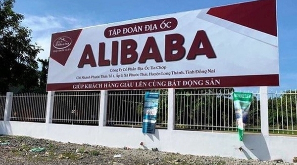 Phó thủ tướng Trương Hòa Bình yêu cầu làm rõ sai phạm của Công ty Địa ốc Alibaba