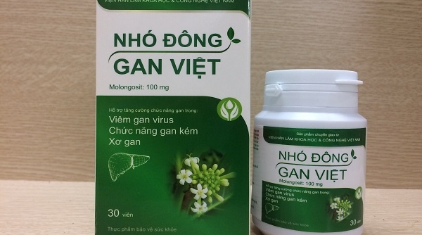 Công dụng của TPBVSK Nhó Đông Gan Việt có đúng như quảng cáo?
