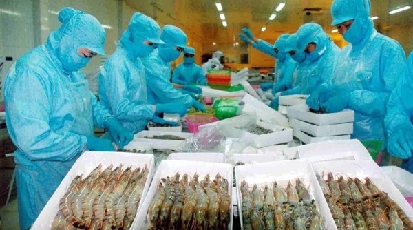 CPTTP: Việt Nam chuyển từ nhập siêu sang xuất siêu