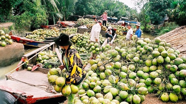 Hỗ trợ doanh nghiệp nâng cao năng lực sản xuất, xuất khẩu nông sản