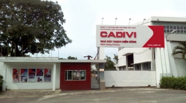 CADIVI bị phạt và truy thu thuế hơn 1,1 tỷ đồng