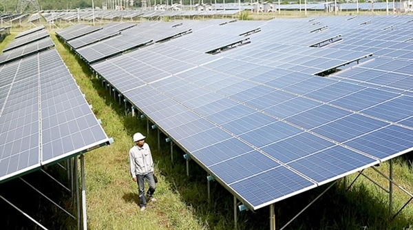 Bộ Công thương đề xuất chính sách một giá cho điện mặt trời