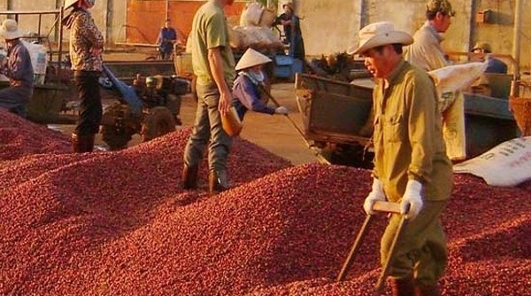 Gia Lai: Kim ngạch xuất khẩu một số mặt hàng chủ lực giảm mạnh