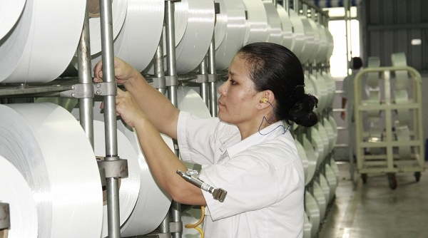 Doanh nghiệp thành lập mới đạt mức kỷ lục trong 9 tháng