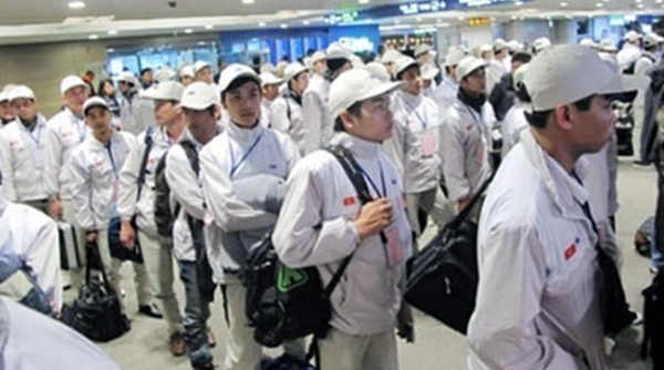 Thu hồi giấy phép của một số doanh nghiệp xuất khẩu lao động