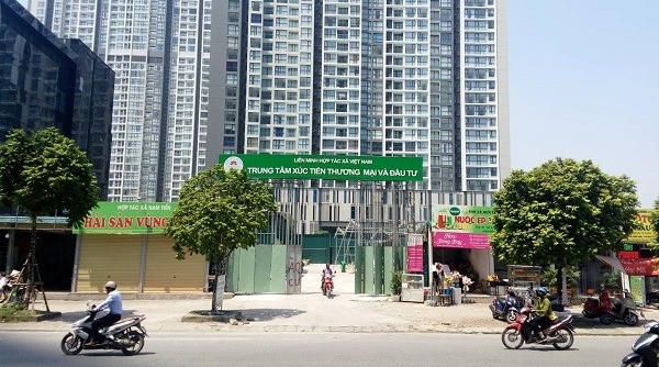 Hà Nội: Xây dựng kế hoạch cưỡng chế công trình vi phạm của Liên minh HTX Việt Nam