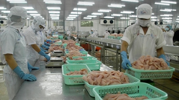 Tôm hùm, mực khô rớt giá chưa từng có