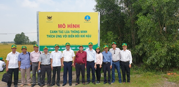Ứng dụng công nghệ 4.0 trong sản xuất lúa