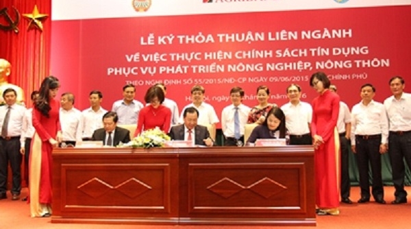 Góp phần phát huy vai trò của phụ nữ và thúc đẩy bình đẳng giới
