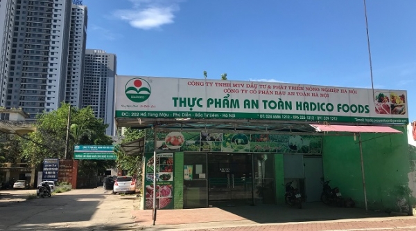 Thiếu nhân sự và nợ thuế hàng chục tỷ đồng, tương lai nào cho Hadico?