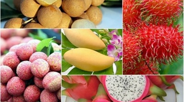 Rau quả Việt Nam có cơ hội xuất khẩu sang thị trường Á-Âu