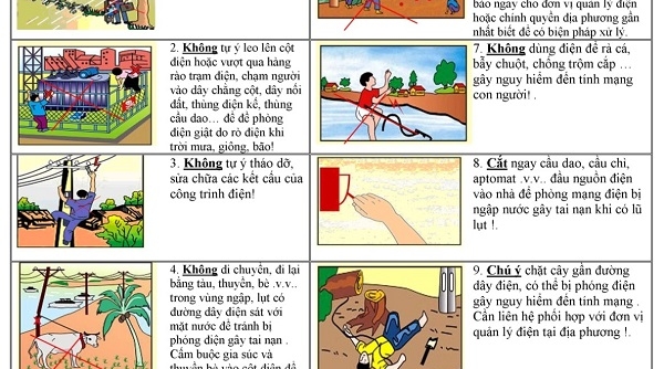 EVN sẵn sàng ứng phó cơn bão số 5 và cảnh báo về an toàn điện khi mưa bão