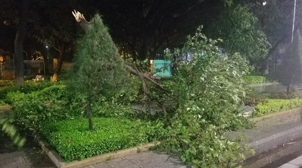 Dự báo thời tiết 31/10: Bão số 5 suy yếu, mưa lớn ở miền Trung