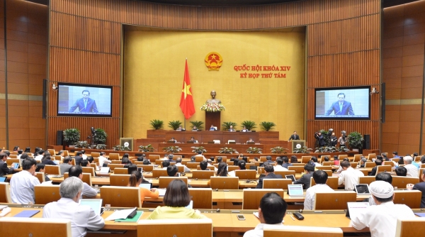 Khắc phục tình trạng được mùa mất giá: Phải cải thiện khâu chế biến, tổ chức thương mại