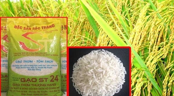 Lần đầu tiên Việt Nam đoạt giải gạo ngon nhất thế giới