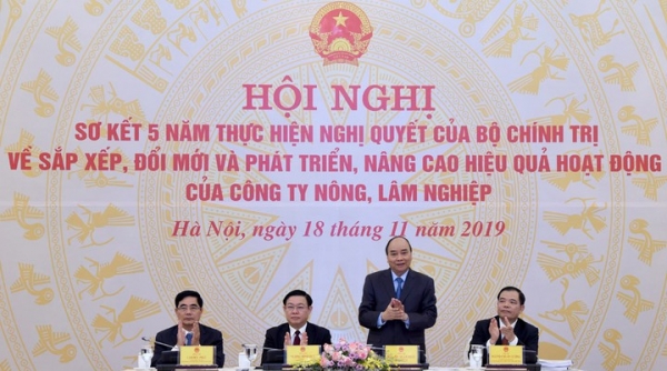 Tiếp tục đổi mới, nâng cao hiệu quả hoạt động của các công ty nông, lâm nghiệp