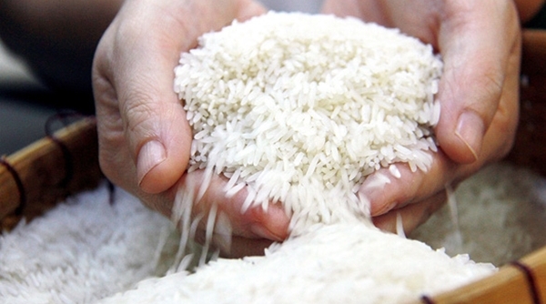 Gạo 'ngon nhất thế giới' bị nhái tràn lan