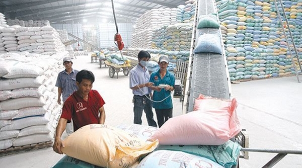 Xử lý nghiêm trường hợp găm hàng, thao túng giá gạo