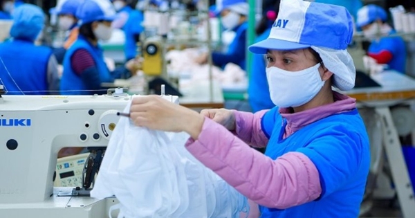 Khẩu trang Việt Nam dồn dập xuất khẩu đi châu Âu