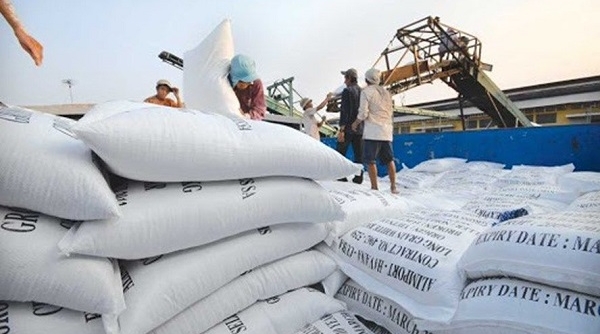 Bộ Công Thương: Không tranh cãi đổ lỗi cho nhau về điều hành xuất khẩu gạo