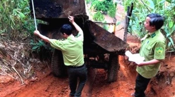 H.Đăk Tô (Kon Tum): Bắt 2 xe máy cày chở gỗ lậu "khủng"