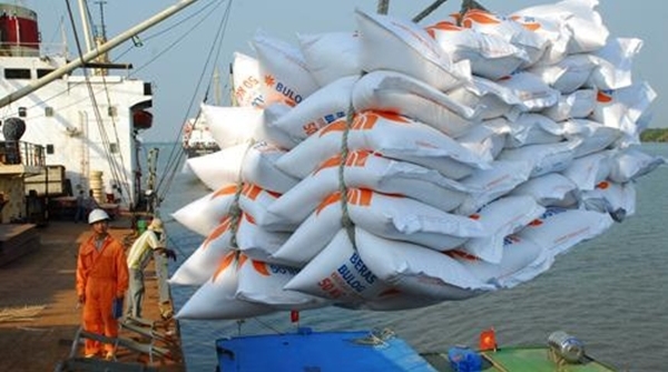 Tạm ứng trước 100.000 tấn gạo từ hạn ngạch xuất khẩu tháng 5