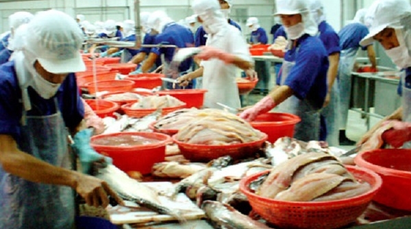 Giá trị XK cá tra sang Trung Quốc - Hồng Kông và Mỹ tăng trưởng khá
