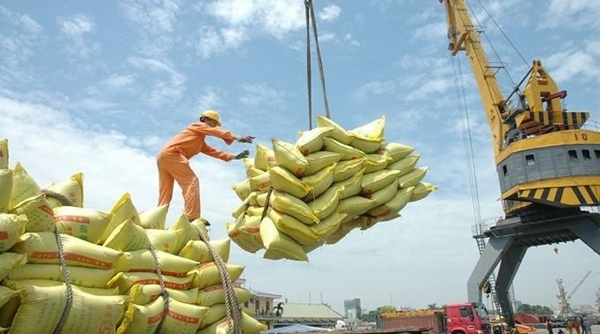 Hải quan ‘hỏa tốc’ hướng dẫn xuất khẩu gạo nếp