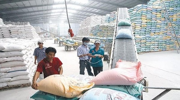 Có 7 Cục Dự trữ Nhà nước khu vực sai phạm trong mua gạo dự trữ quốc gia sẽ bị điều tra