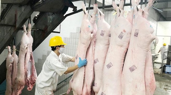 Bộ NN&PTNT quyết nhập lợn sống về giết mổ để ‘giảm nhiệt’ giá trong nước