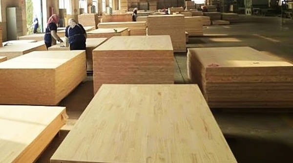 Đề nghị Hàn Quốc hủy bỏ điều tra chống bán phá giá gỗ dán Việt Nam