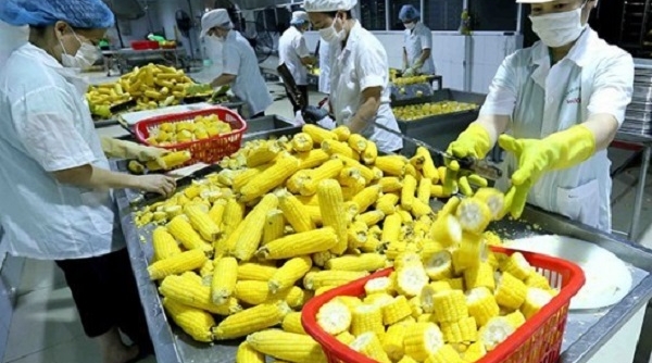 Mở rộng thị trường cho nông sản, thực phẩm, sản phẩm y tế Việt phát triển thị trường Nhật Bản