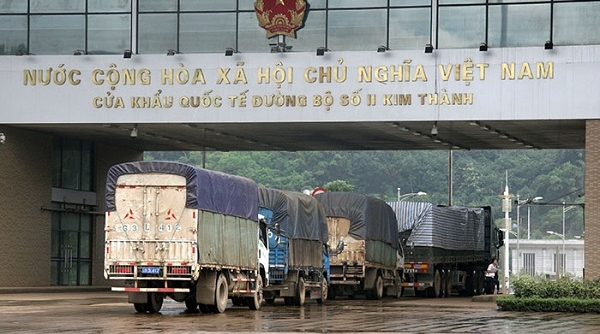 Lào Cai: Rút ngắn thời gian thông quan cho mặt hàng vải tươi