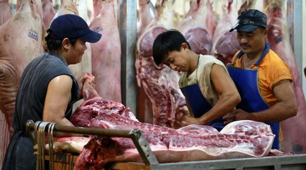 Giá lợn hơi ngày 15/6: Lô thịt lợn nhập khẩu đầu tiên về đến Việt Nam, giá có chiều hướng giảm