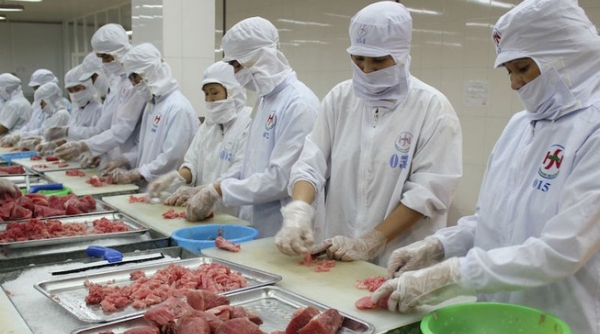Thực hiện EVFTA: EU miễn thuế cho Việt Nam với cá ngừ đóng hộp mức 11.500 tấn/năm