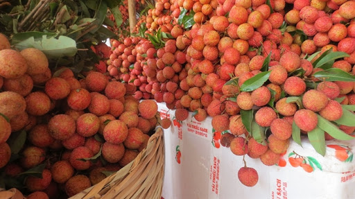Hai tấn vải thiều đầu tiên đã xuất khẩu sang Nhật Bản
