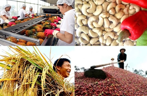 Cần nhiều điều kiện hơn để nông sản Việt vào thị trường EU
