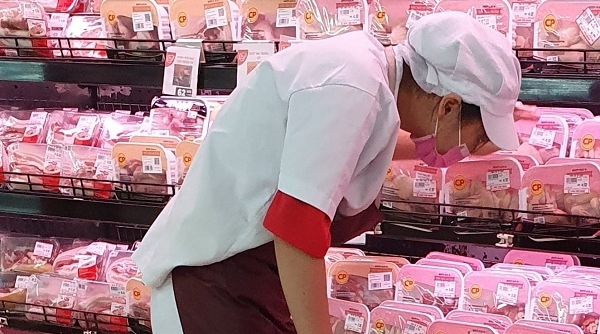 Giá lợn hơi hôm nay 22/6/2020: Miền Bắc, Nam đều giảm