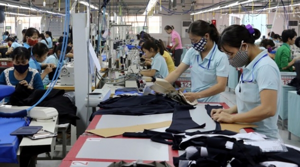 Hải quan hỗ trợ doanh nghiệp xuất nhập khẩu sau Covid-19