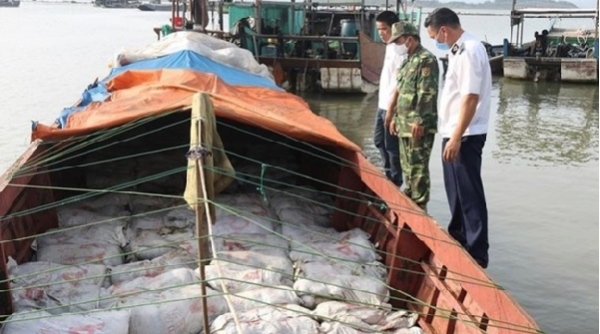 Quảng Ninh: Tiêu hủy gần 16 tấn thực phẩm bẩn