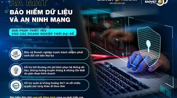 Bảo hiểm Bảo Việt giới thiệu và cung cấp “Bảo hiểm Dữ liệu và An ninh mạng”
