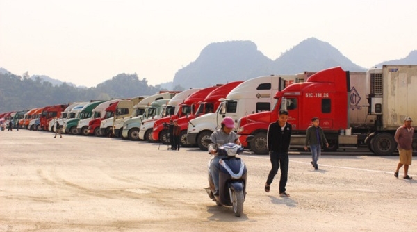 Từ 1/7, xe chở hàng của Việt Nam nhập cảnh Trung Quốc phải mua bảo hiểm phương tiện
