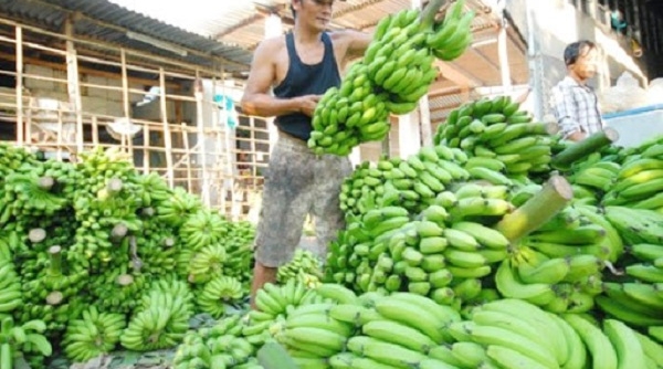 Bộ Công thương khuyên nghị DN giám sát chất lượng hàng hóa xuất sang Trung Quốc