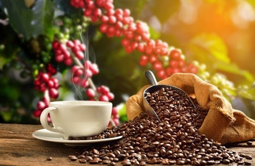 Xuất khẩu cà phê tháng 6/2020 đạt 140.000 tấn