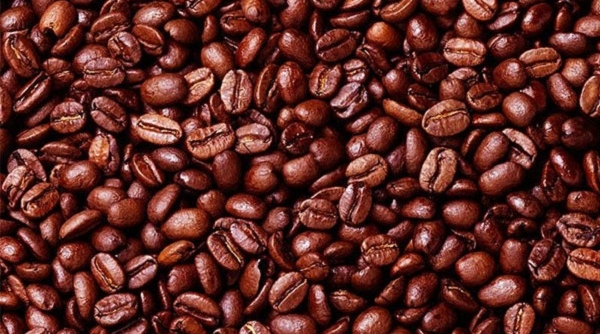 Ấn Độ mất dần thị phần cà phê tại thị trường châu Âu