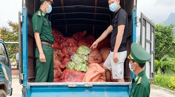 Bắt giữ vụ vận chuyển 1,5 tấn chân gà trái phép qua biên giới