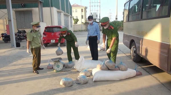 Thanh Hóa: Bắt giữ xe khách vận chuyển 545kg thực phẩm không rõ nguồn gốc xuất xứ